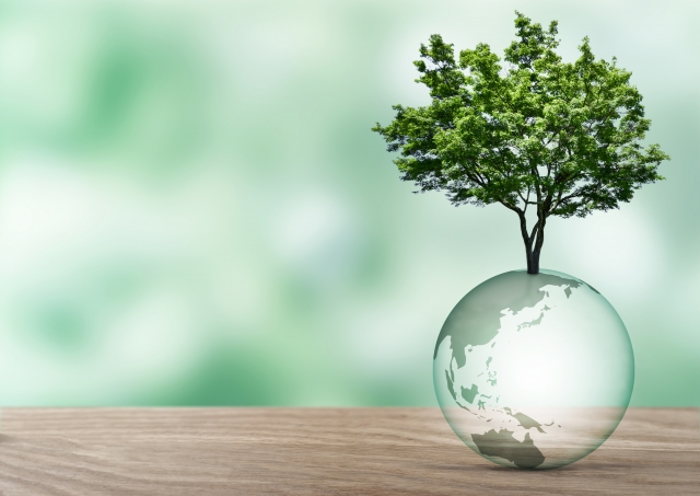 タヒボ茶に含まれる栄養成分