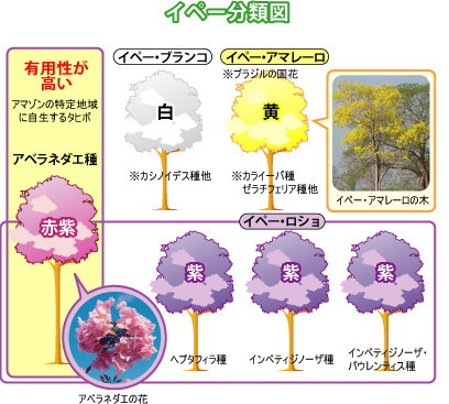 「タヒボNFD」は唯一無二の商品