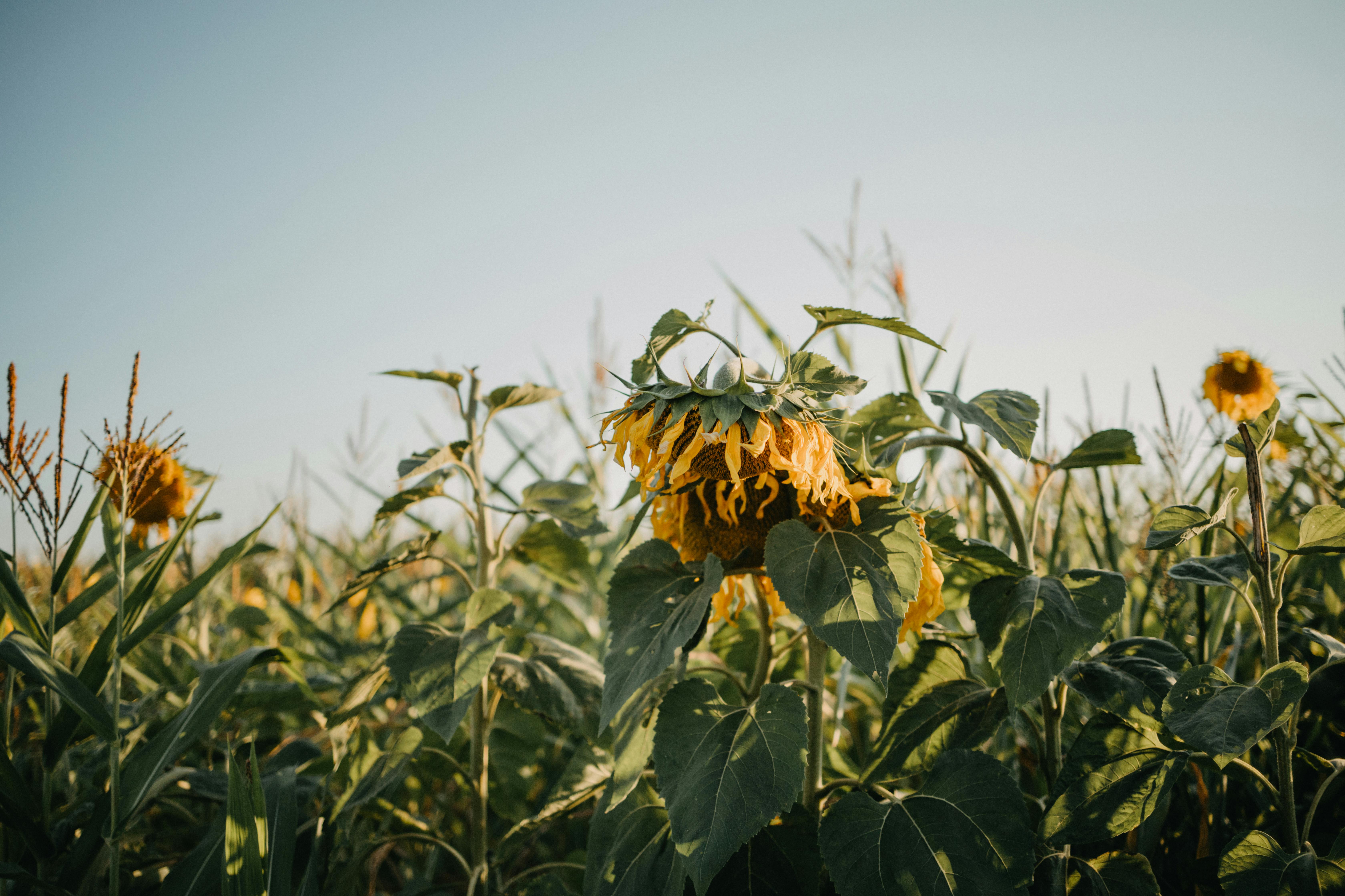 40代女性が疲れやすさを感じる瞬間