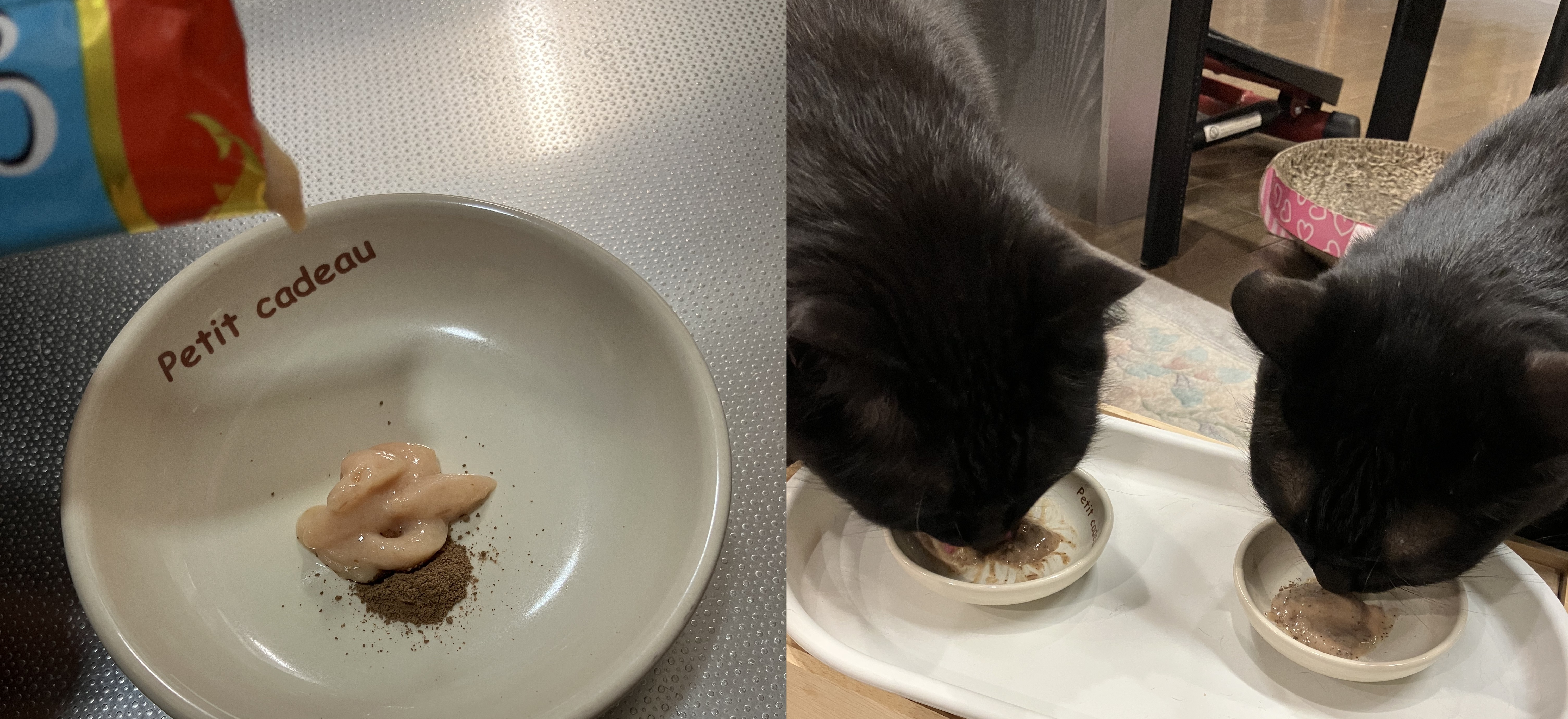 猫へのタヒボの与え方